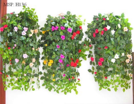 Cụm Hồng Rủ