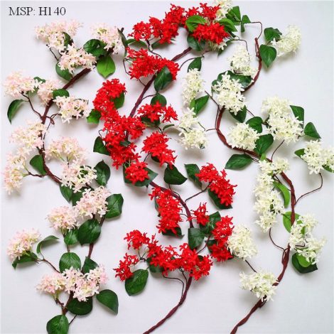 Dây leo tử đinh hương
