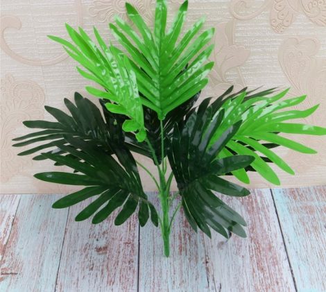 Cây lá cọ (ko gồm chậu, size nhỏ)
