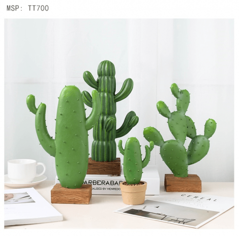 Chậu cây xương rồng để bàn ( Size to )