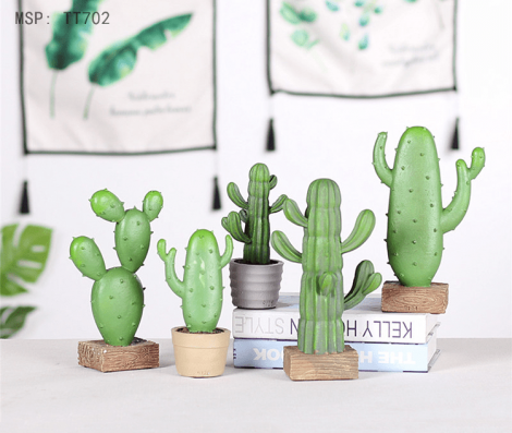 Chậu cây xương rồng để bàn ( Size nhỏ )