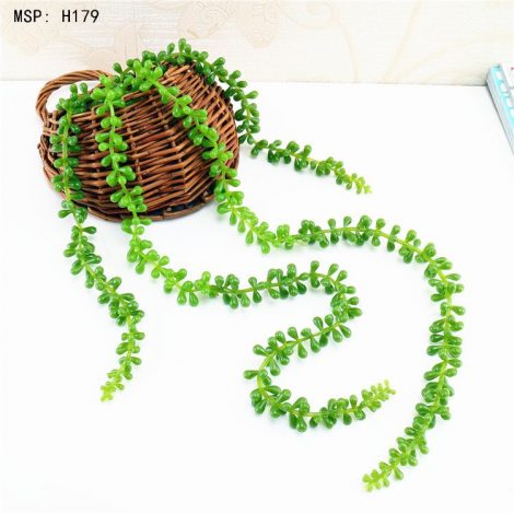 Cụm Lộc vừng rủ
