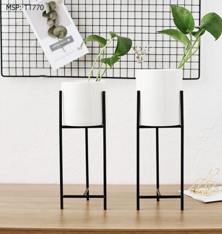 Chậu sứ trắng kèm khung hình trụ